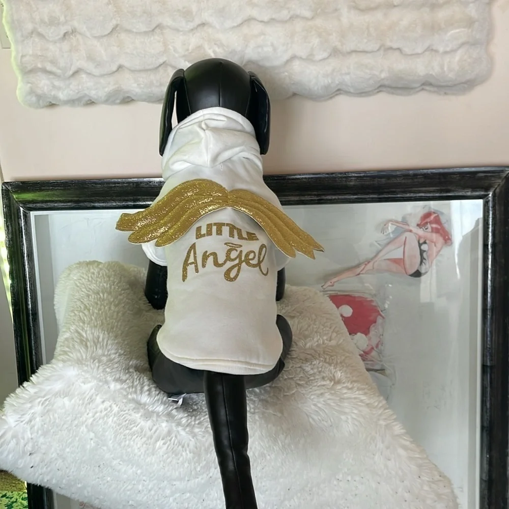 Spooky night little angle costume for dogs NWOT so cute good and white and wings